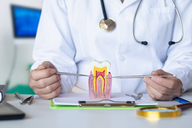 Best Emergency Dentist for Knocked-Out Tooth in Reliez Valley, CA